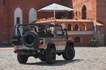 2B-006-Convertible-Mercedes-G-250-083940-org