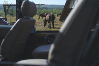 2B-026-Convertible-Mercedes-G-250-082761