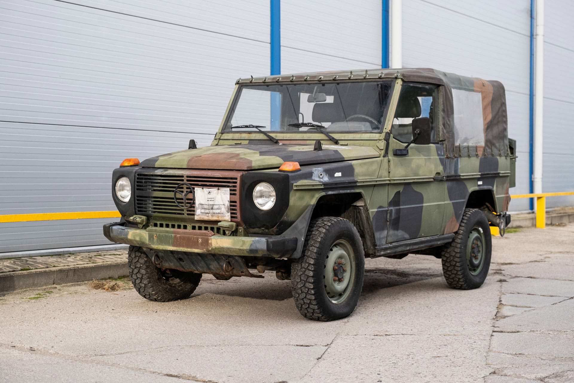 SWB Wolf